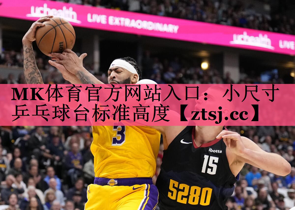 MK体育官方网站入口：小尺寸乒乓球台标准高度