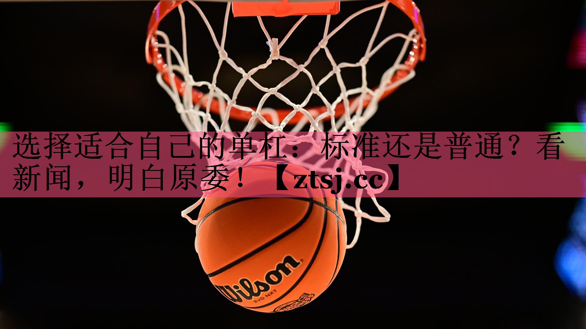 选择适合自己的单杠：标准还是普通？看新闻，明白原委！
