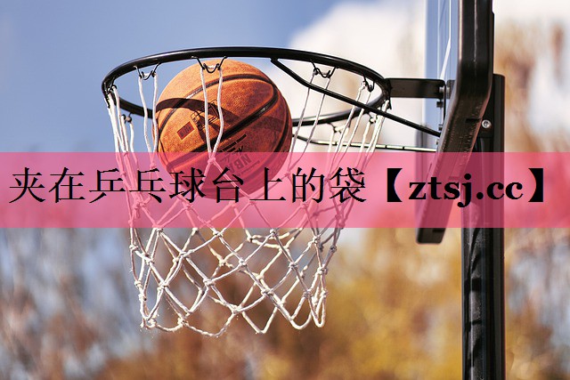 夹在乒乓球台上的袋