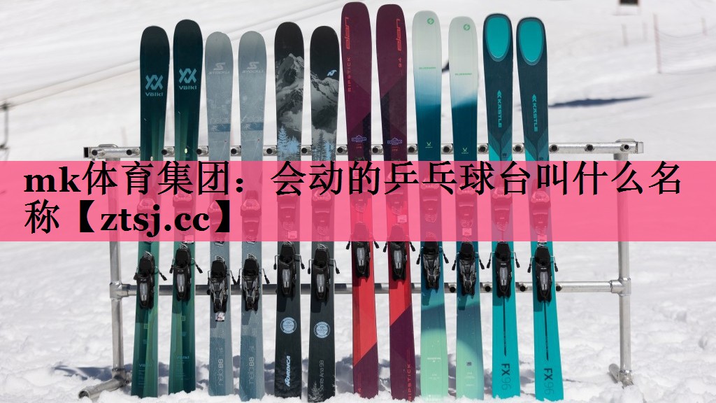 mk体育集团：会动的乒乓球台叫什么名称