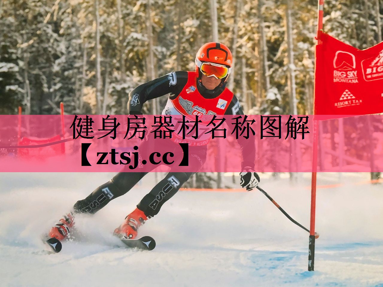 健身房器材名称图解