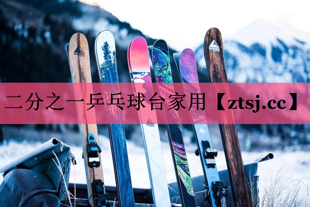 二分之一乒乓球台家用
