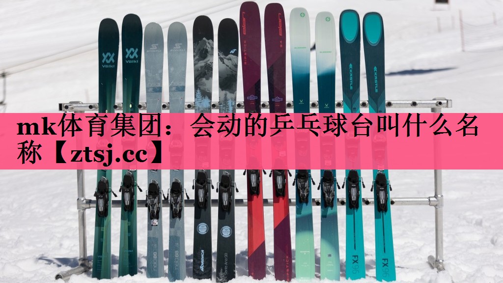 会动的乒乓球台叫什么名称 会动的乒乓球台叫什么名称