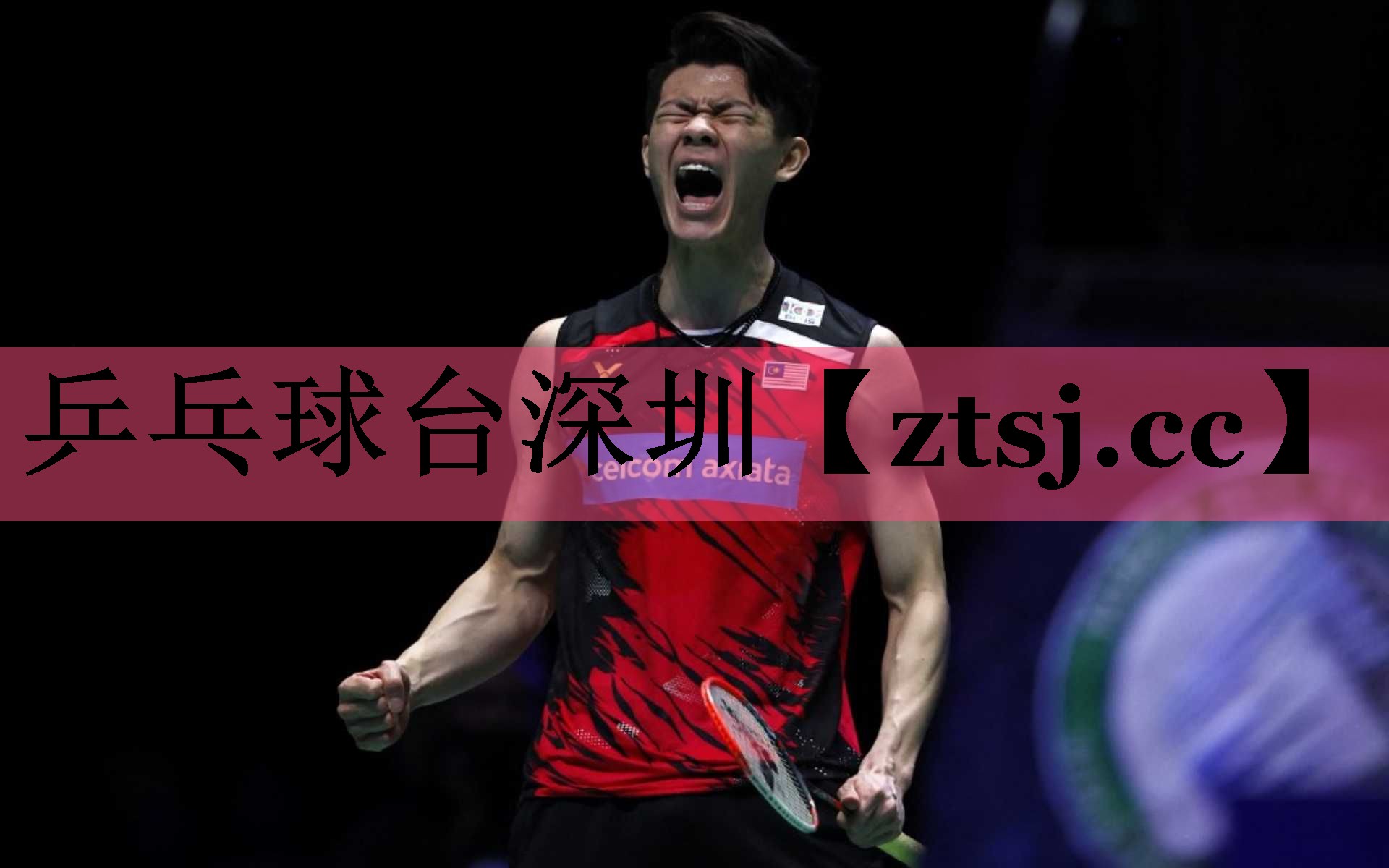 乒乓球台深圳 乒乓球台深圳