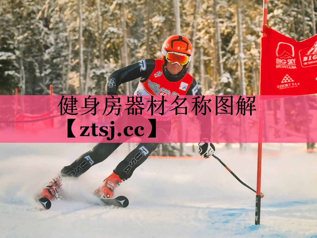 健身房器材名称图解 健身房器材名称图解