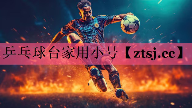 乒乓球台家用小号