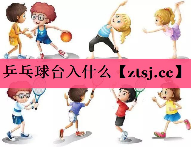 乒乓球台入什么