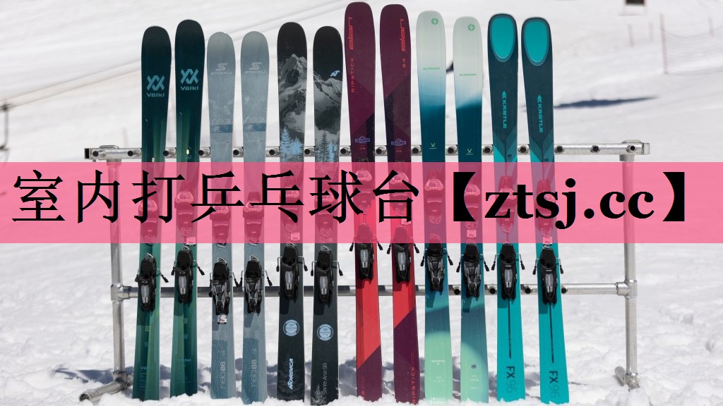 室内打乒乓球台 室内打乒乓球台
