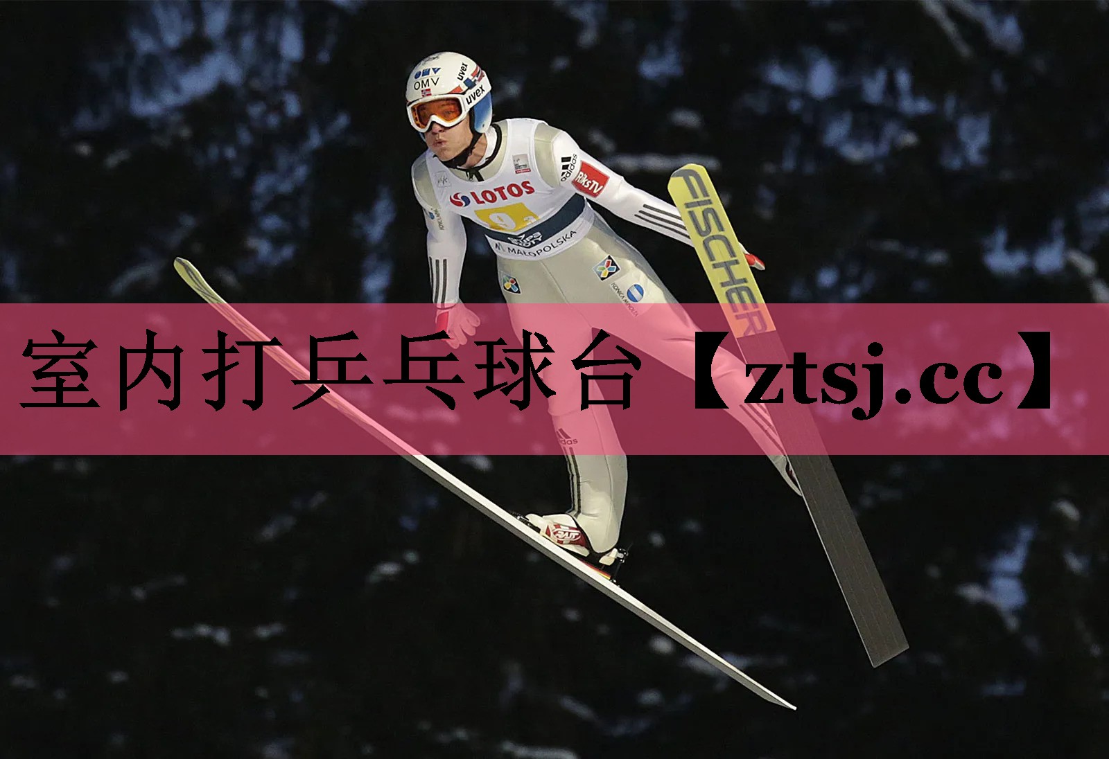 室内打乒乓球台 室内打乒乓球台