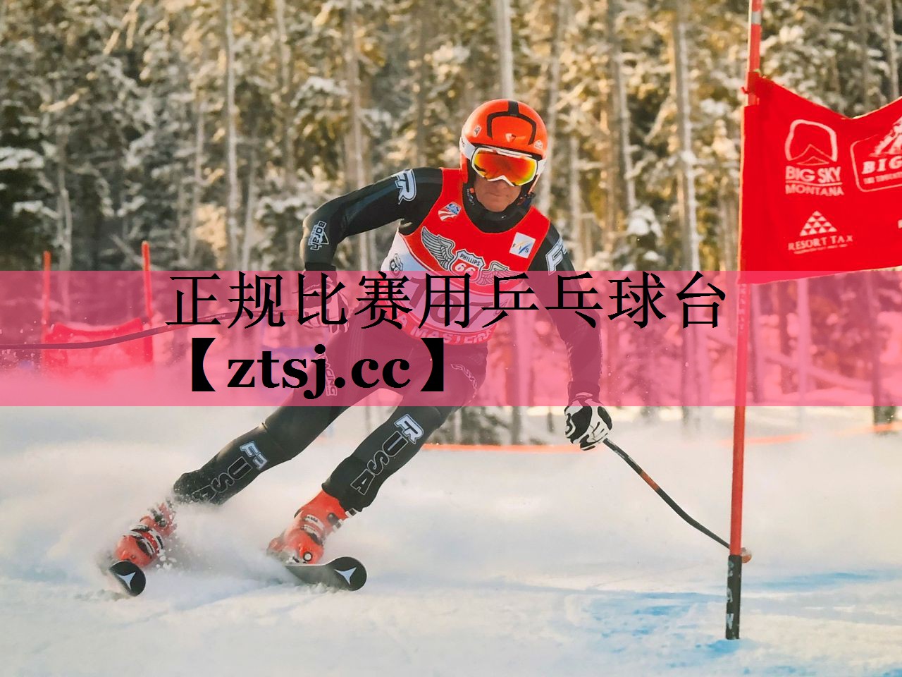正规比赛用乒乓球台